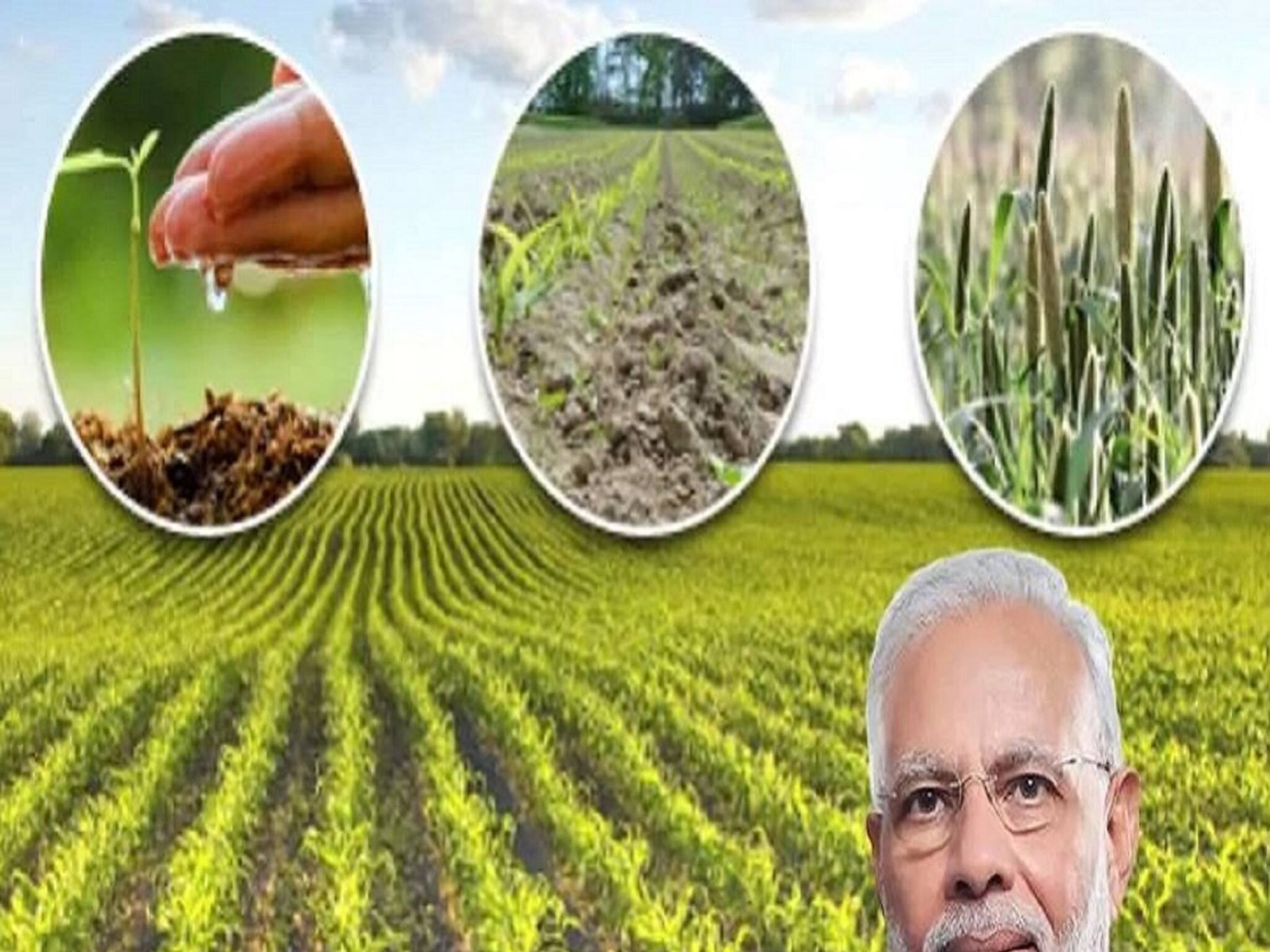 PM Kisan Samman Nidhi Yojana: প্রধানমন্ত্রী কিষান সম্মান নিধি যোজনার ১০ নম্বর কিস্তি তৈরি, কীভাবে টাকা পাবেন