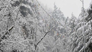 Heavy Snowfall Heavy Snowfall