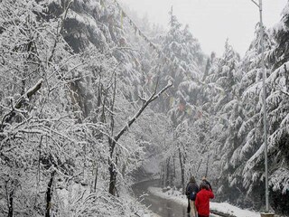 Heavy Snowfall