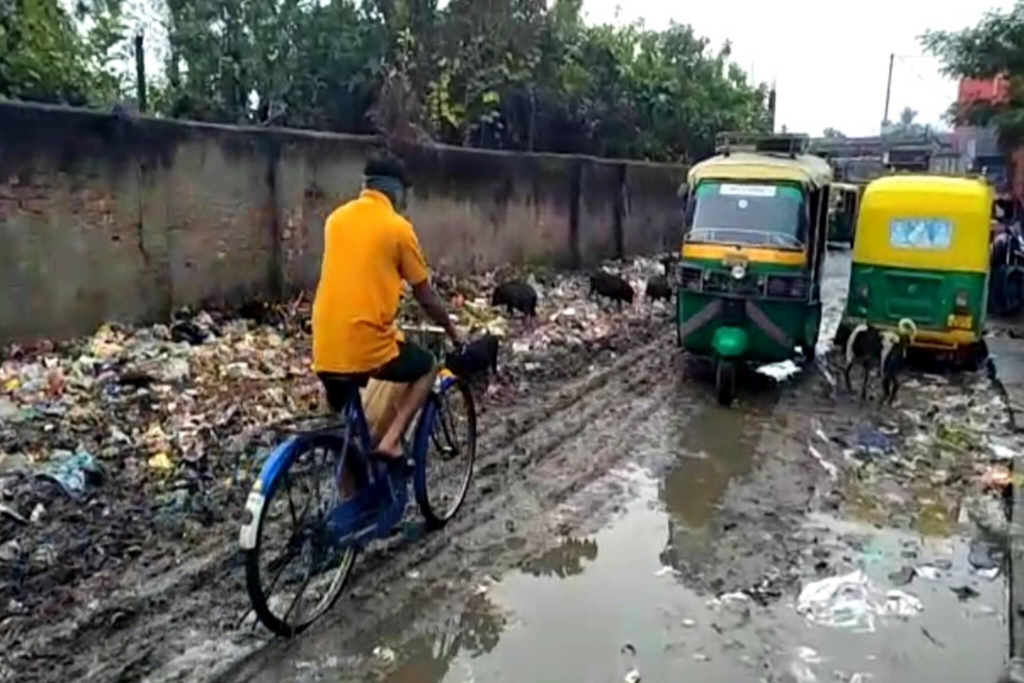 South 24 Parganas: প্লাষ্টিক ও ময়লা-আবর্জনা থেকে কবে মিলবে মুক্তি!