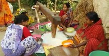 মিলের নয়, আজও ঢেঁকির চাল কোটা দিয়েই তৈরি হয় পিঠে পুলি মিলের নয়, আজও ঢেঁকির চাল কোটা দিয়েই তৈরি হয় পিঠে পুলি