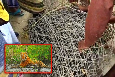 নিরাপত্তার পাশাপাশি কর্মসংস্থানও চাইছে সুন্দরবনের মানুষ