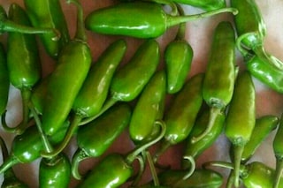 হাইব্রিড বুলেট লঙ্কা হাইব্রিড বুলেট লঙ্কা