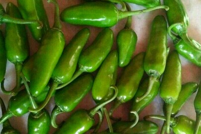 হাইব্রিড বুলেট লঙ্কা হাইব্রিড বুলেট লঙ্কা