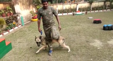 প্রজাতন্ত্র