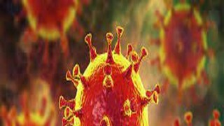 Coronavirus Coronavirus