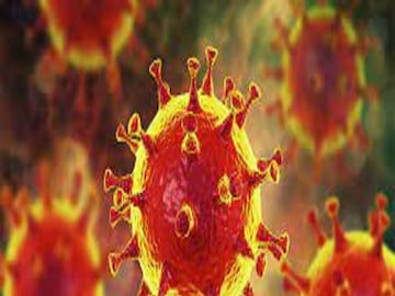 Coronavirus 