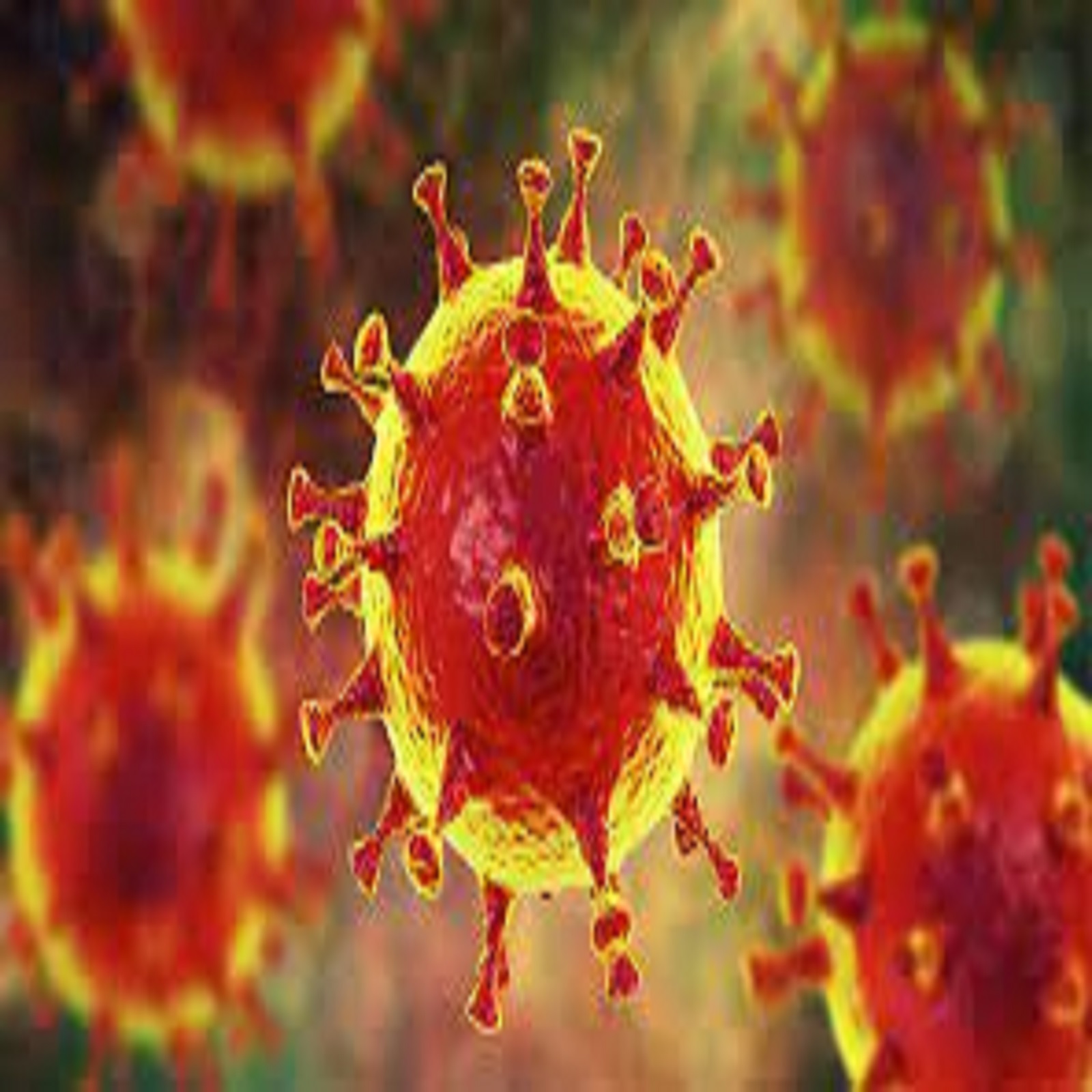 Coronavirus India Update: দেশে ঊর্ধ্বমুখী Active Case! পেরল ৭৬ হাজার! দৈনিক করোনা সংক্রমণ নিয়ে বাড়ছে ভয়...