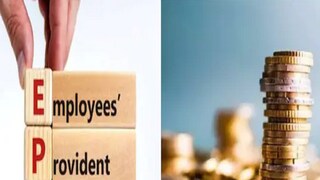 চতুর্থ ধাপ : একবার আপনি লগ ইন করলে, EPF হোম পেজ আপনার শংসাপত্রগুলি দেখাবে – নাম, UAN নম্বর এবং PAN নম্বর। প্রতীকী ছবি। চতুর্থ ধাপ : একবার আপনি লগ ইন করলে, EPF হোম পেজ আপনার শংসাপত্রগুলি দেখাবে – নাম, UAN নম্বর এবং PAN নম্বর। প্রতীকী ছবি।