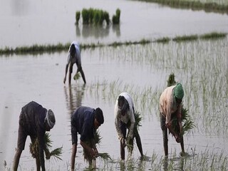 Birbhum News: Police helped farmers to recover stolen pump- Photo- PTI 