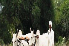 কৃষকদের অ্যাকাউন্টে ২০ হাজার কোটি টাকার বেশি পাঠিয়েছে সরকার