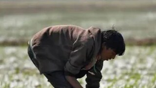 প্রতীকী ছবি প্রতীকী ছবি