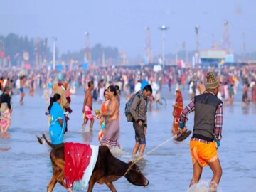 গঙ্গাসাগর মেলার অনুমতি দিল হাইকোর্ট৷ 
