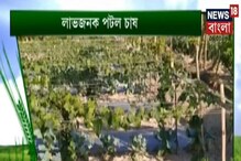Polythene Mulching করে পটল চাষে লাভবান হওয়ার উপায় জেনে নিন আজকের অন্নদাতায় Polythene Mulching করে পটল চাষে লাভবান হওয়ার উপায় জেনে নিন আজকের অন্নদাতায়