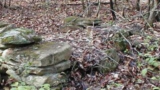 ভাইরাল ছবি