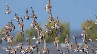 প্রতীকী চিত্র