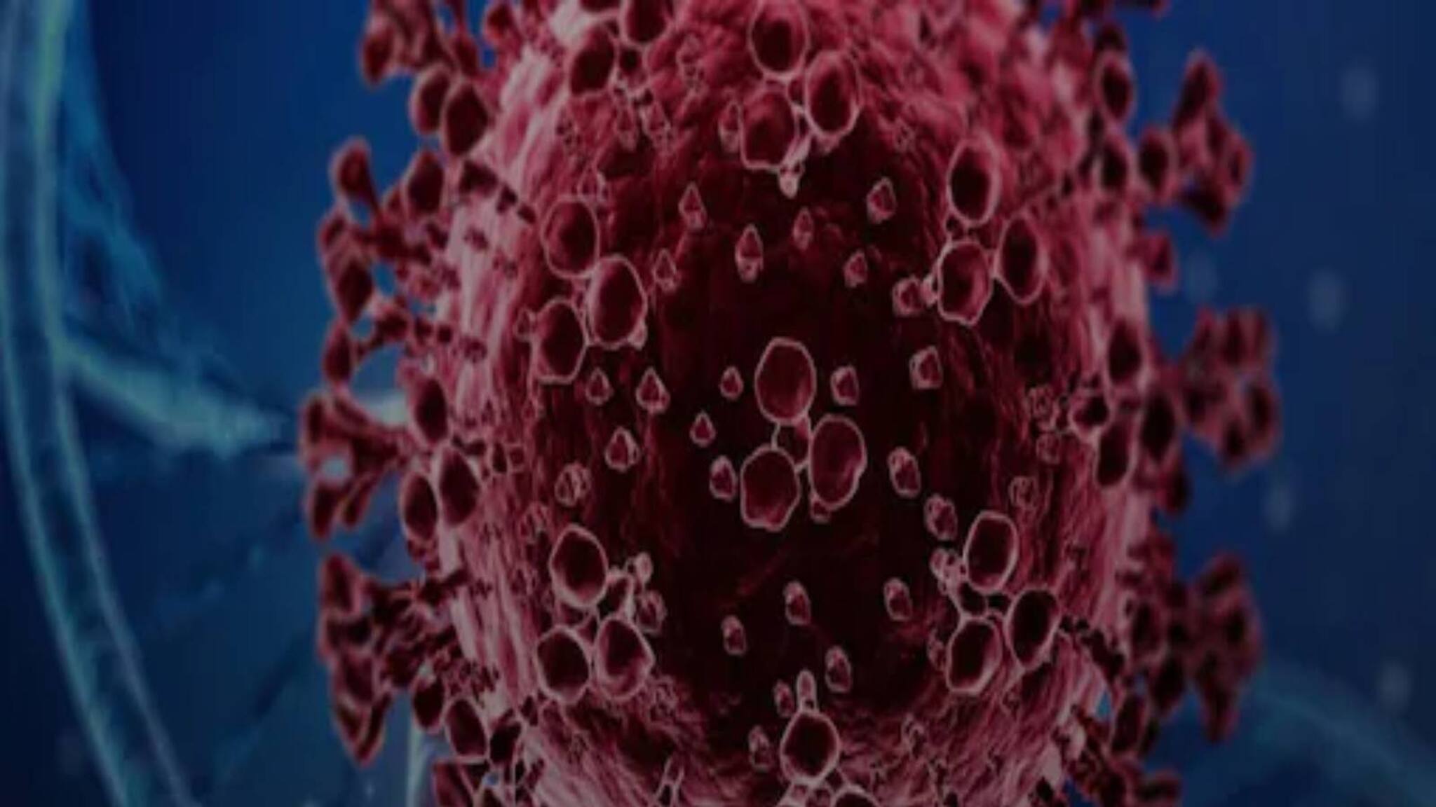 Explained: Coronavirus Variants Active in India: ভারতে করোনার কোন কোন প্রজাতি সংক্রমণ ছড়াচ্ছে, তাদের উপসর্গ কী কী?