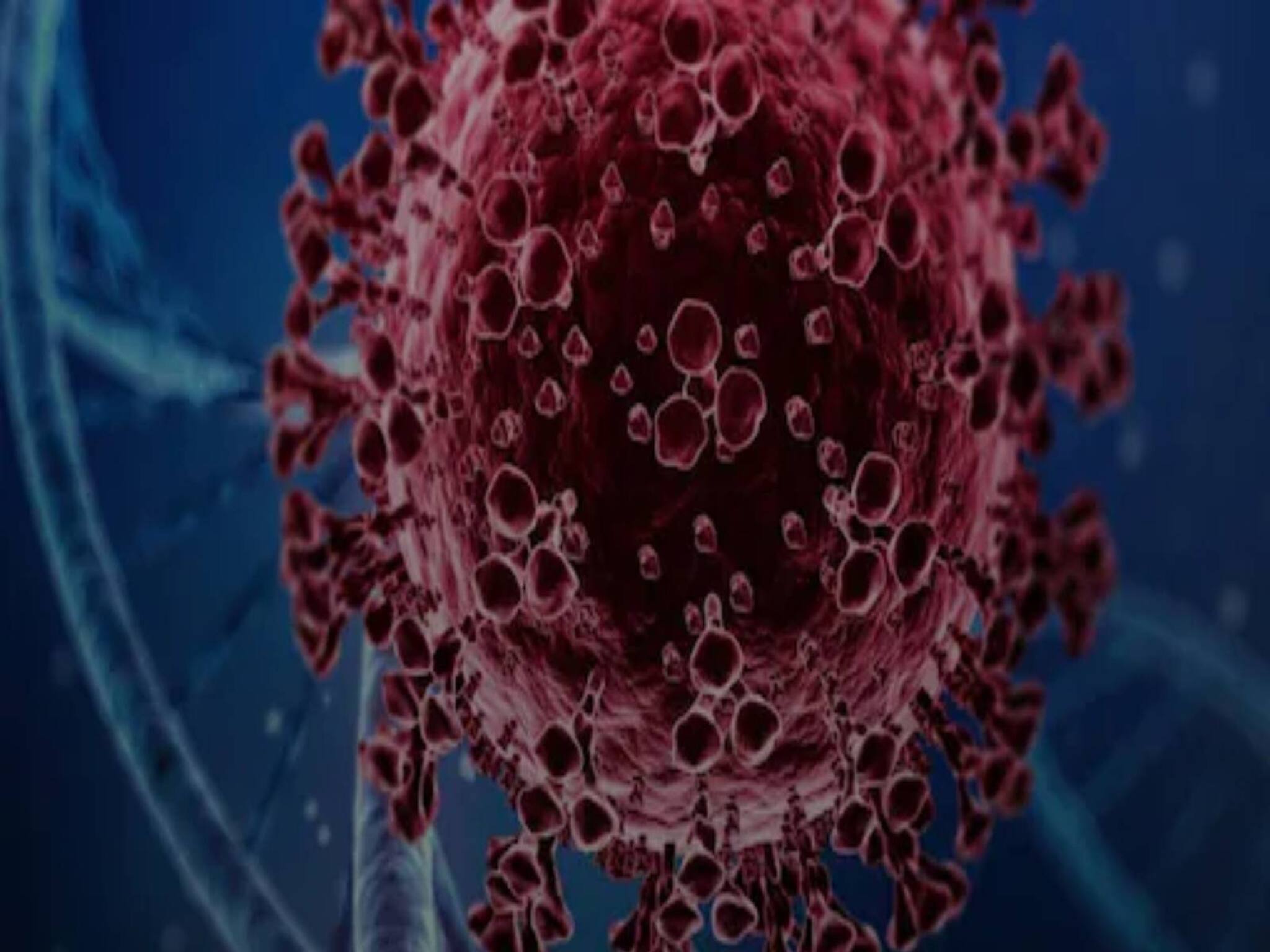 Explained: Coronavirus Variants Active in India: ভারতে করোনার কোন কোন প্রজাতি সংক্রমণ ছড়াচ্ছে, তাদের উপসর্গ কী কী?
