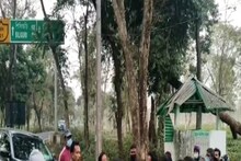 বনমন্ত্রীর আশ্বাসে গরুমারা প্রবেশদ্বারের সামনে অস্থায়ী বনকর্মীদের ধর্মঘট উঠল