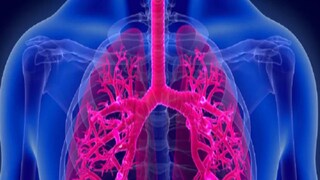 শীতকালেই বেশি করে দেখা যায় অ্যাস্থমা এবং ক্রনিক অবস্ট্রাক্টিভ পালমোনারি রোগের প্রকোপ শীতকালেই বেশি করে দেখা যায় অ্যাস্থমা এবং ক্রনিক অবস্ট্রাক্টিভ পালমোনারি রোগের প্রকোপ