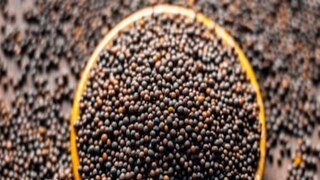 সেই অনুযায়ী, প্রতি লিটার ৪৬ টাকার কম দামে কেনা যাবে সর্ষের তেল। অর্থাৎ ৫ কেজি সর্ষের তেল কিনলে ২৩০ টাকা সহজেই লাভবান হবেন আপনি। এপ্রিলে সর্ষের তেলের দাম দাঁড়িয়েছে লিটার প্রতি ১৫০ টাকা। প্রতীকী ছবি। সেই অনুযায়ী, প্রতি লিটার ৪৬ টাকার কম দামে কেনা যাবে সর্ষের তেল। অর্থাৎ ৫ কেজি সর্ষের তেল কিনলে ২৩০ টাকা সহজেই লাভবান হবেন আপনি। এপ্রিলে সর্ষের তেলের দাম দাঁড়িয়েছে লিটার প্রতি ১৫০ টাকা। প্রতীকী ছবি।