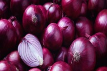 Kitchen Hacks by Onion: মাইক্রোওয়েভ আভেন পরিষ্কার থেকে মরচের দাগ তোলা, গৃহস্থালির একাধিক কাজে অদ্বিতীয় পেঁয়াজ Kitchen Hacks by Onion: মাইক্রোওয়েভ আভেন পরিষ্কার থেকে মরচের দাগ তোলা, গৃহস্থালির একাধিক কাজে অদ্বিতীয় পেঁয়াজ