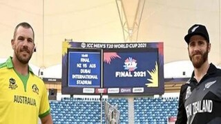 আপাতত সিরিজ হচ্ছে না উইলিয়ামসন বনাম ফিঞ্চদের আপাতত সিরিজ হচ্ছে না উইলিয়ামসন বনাম ফিঞ্চদের