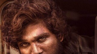 পুষ্পা ছবির দৃশ্য়