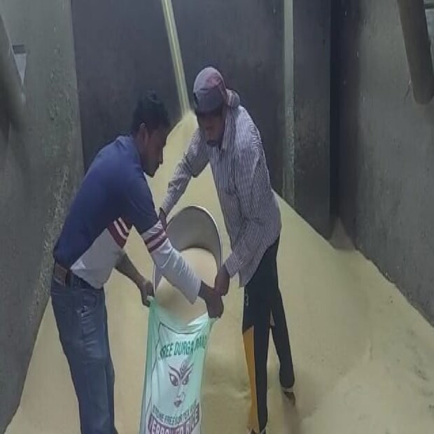 বাংলার চাল দেশের সেরা। সেই চাল যদি হয় মিনিকেট বা সরু সরু বাঁশকাঠি তবে তো তার কথাই নেই। স্বাদ ও মিষ্টতার কারণে অনেকেই এই চাল খেতেই অভ্যস্ত। কিন্তু এই চালের দাম ক্রমশ নাগালের বাইরে চলে যেতে বসায় কপালে ভাঁজ পড়েছে অনেকের।