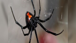 photo source collected