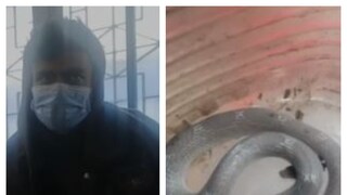 হাসপাতালে চিকিৎসাধীন রিঙ্কু মণ্ডল (বাঁদিকে)৷ এই সাপটিই কামড়েছিল তাঁকে৷  