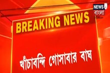 Video: খাঁচাবন্দি গোসাবার বাঘ, অবশেষে স্বস্তি পেলেন এলাকাবাসী Video: খাঁচাবন্দি গোসাবার বাঘ, অবশেষে স্বস্তি পেলেন এলাকাবাসী