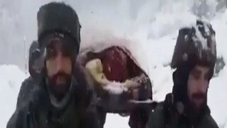 Viral Video Viral Video