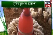 মুরগি পালনে ঋতুভিত্তিক পরিচর্যার জন্য পোলট্রি-খামারের যত্ন কীভাবে করবেন মুরগি পালনে ঋতুভিত্তিক পরিচর্যার জন্য পোলট্রি-খামারের যত্ন কীভাবে করবেন