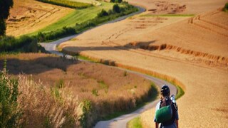 প্রতীকী ছবি ৷