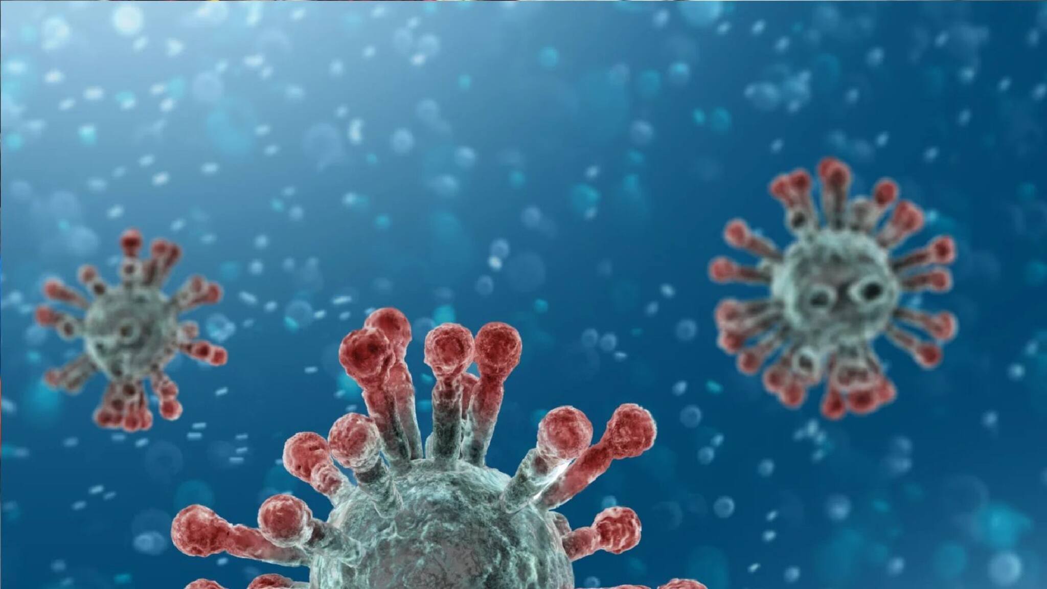 Explained| Health Tips|| সুস্থ হওয়ার পরেও শরীরে থাকা করোনার সক্রিয় অ্যান্টিবডি আক্রমণ করে রোগীকে? কী মত বিশেষজ্ঞদের?