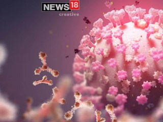 প্রতীকী ছবি
