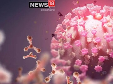 প্রতীকী ছবি