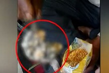 ডালের প্যাকেটে মিলল মরা ইঁদুর ! হিমাচল প্রদেশের সিরমৌরের ঘটনা ডালের প্যাকেটে মিলল মরা ইঁদুর ! হিমাচল প্রদেশের সিরমৌরের ঘটনা