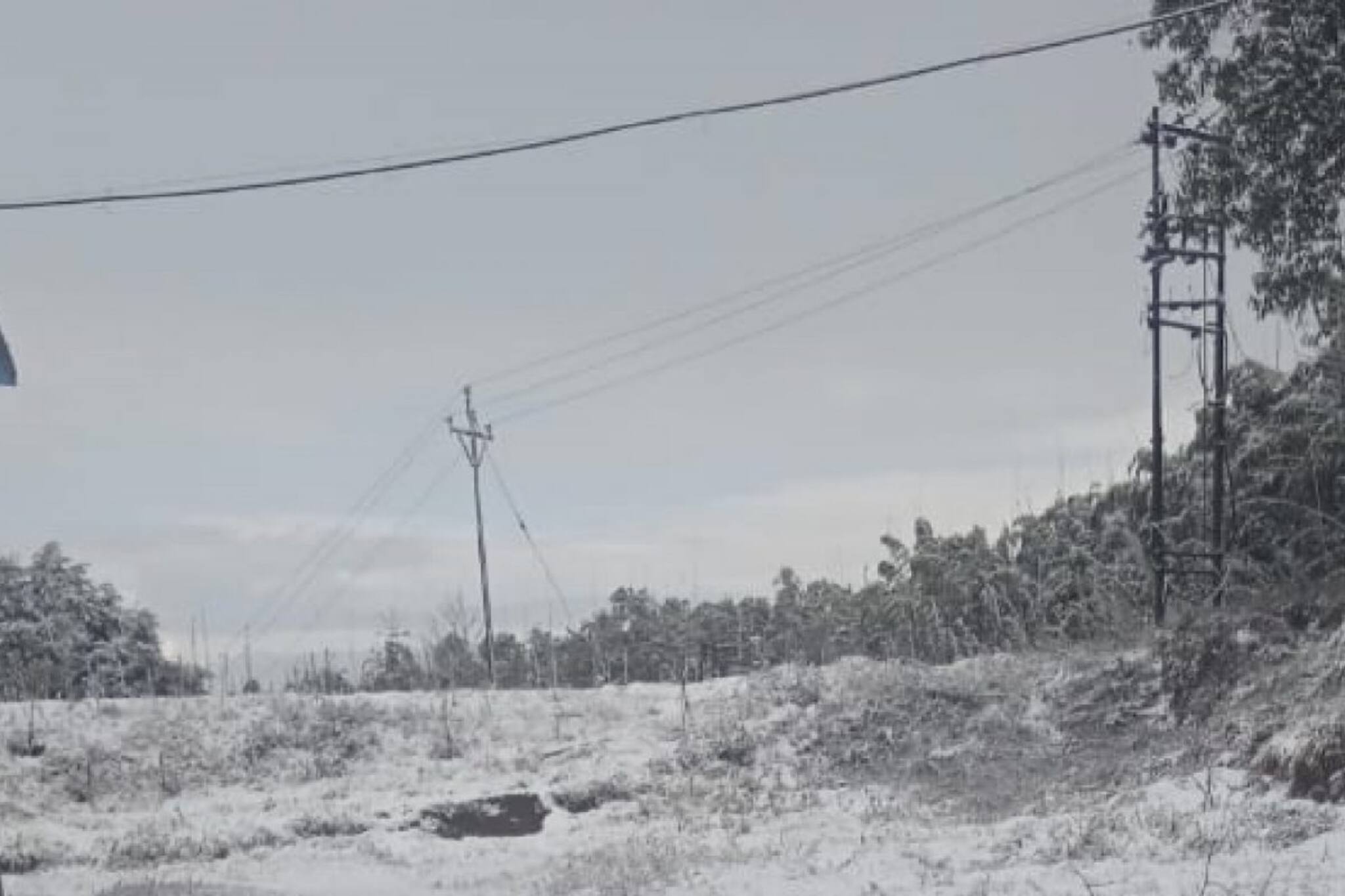 দার্জিলিংয়ে পর্যটকদের পোয়া বারো, আজ পাহাড়ের রানীর সৌন্দর্য দেখার মতো