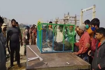 ভয়ানক, মাছের বদলে জ্যান্ত এ কী তুলে আনলেন মৎস্যজীবীরা! তোলপাড় দিঘা