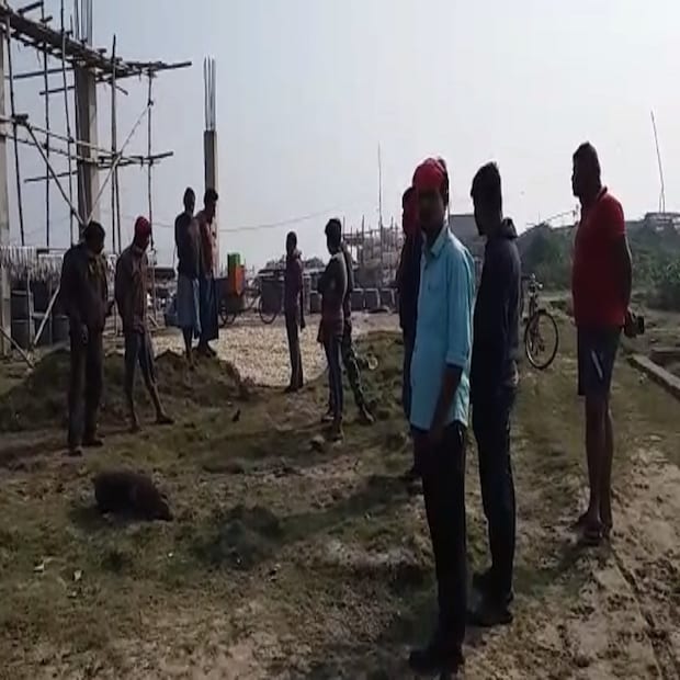 তবে, গোটা বাংলাতে যেভাবে করোনার সংক্রমণ বাড়ছে, দিঘাও তার বাইরে নয়। কড়া বিধিনিষেধের কারণে দিঘা কার্যত পর্যটকশূন্য। তবু, তারই মধ্যে এখনও যত মানুষ দিঘায় রয়েছেন, তাঁরাই এদিন ভিড় জমান ওই বুনো শুয়োর দেখতে। (তথ্য ও ছবি: সুজিত ভৌমিক)