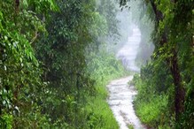 ডুয়ার্সের জঙ্গলে তখন টহলদারি বনকর্মীদের, হঠাৎ সামনে হাড়হিম দৃশ্য! ছিন্নভিন্ন... ডুয়ার্সের জঙ্গলে তখন টহলদারি বনকর্মীদের, হঠাৎ সামনে হাড়হিম দৃশ্য! ছিন্নভিন্ন...