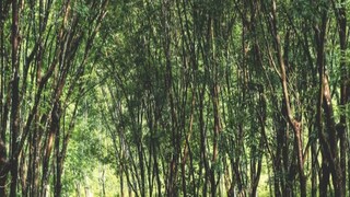 প্রতীকী ছবি। 