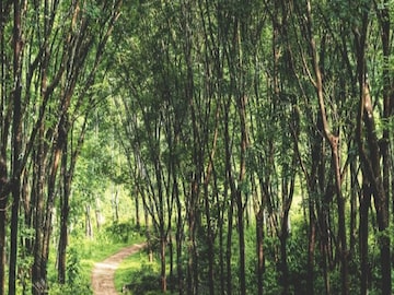 প্রতীকী ছবি। 