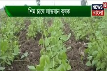কীভাবে অল্প খরচে সিম চাষ করবেন, জেনে নিন আজকের অন্নদাতায় কীভাবে অল্প খরচে সিম চাষ করবেন, জেনে নিন আজকের অন্নদাতায়