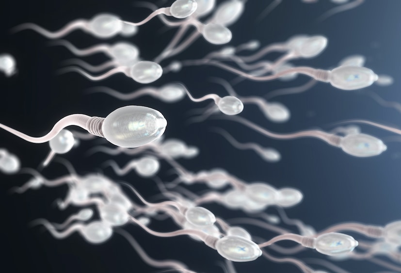 কলকাতা বিড়লা ফার্টিলিটি ও আই ভি এফ সেন্টারের (Birla Fertility and IVF Centre) হেড ডক্টর সৌরেন ভট্টাচার্যের (Souren Bhattacharjee) মতে, সমীক্ষা বলছে বেশিরভাগ পুরুষদের ৩ দিন মত জ্বর থাকছে তবে আসল সমস্যা দেখা যাচ্ছে তাদের প্রজনন ক্ষমতায়। এছাড়াও স্পার্ম কাউন্ট কম, টেস্টিকিউলার ইনফ্লেমেশন (Testicular Inflammation), স্পার্ম ডাক্ট ইনফ্লেমেশন (Sperm Duct Inflammation) ও টেস্টিকিউলার পেইন (Testicular Pain) এইগুলো তো আছেই। 