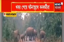 ঝাড়গ্রামের নয়াগ্রামে হাতির আতঙ্ক, এলাকা দাপিয়ে বেড়াচ্ছে ৫০টি দাঁতাল ঝাড়গ্রামের নয়াগ্রামে হাতির আতঙ্ক, এলাকা দাপিয়ে বেড়াচ্ছে ৫০টি দাঁতাল