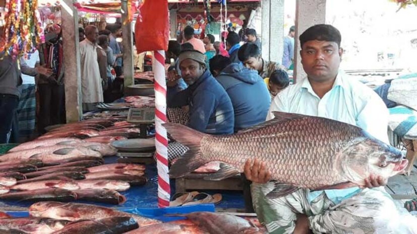 আসলে আদতে এটা মাছের মেলা হলেও, এখানে চলে এলাকার জামাইদের মাছ-সহ সবকিছু বড় সাইজের কেনার এক অভূতপূর্ব মজাদার প্রতিযোগিতা। বিনিরাইল এবং এর আশপাশের গ্রামে যারা বিয়ে করেছেন, সে সমস্ত জামাইরা হচ্ছে ওই মেলার মূল ক্রেতা ও দর্শণার্থী। তাছাড়া এই মেলাকে ঘিরে এলাকার শ্বশুরদের মধ্যেও চলে এক নীরব প্রতিযোগিতা।
