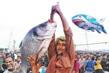 Bangladesh News: মাছের মেলায় হাড্ডাহাড্ডি লড়াই জামাই-শ্বশুরের! জিতলেন কে? দেখুন! Bangladesh News: মাছের মেলায় হাড্ডাহাড্ডি লড়াই জামাই-শ্বশুরের! জিতলেন কে? দেখুন!